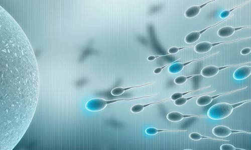 Andrology Services in Nagpur