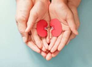 Protecting Your Kidneys: Essential Tips for Better Health