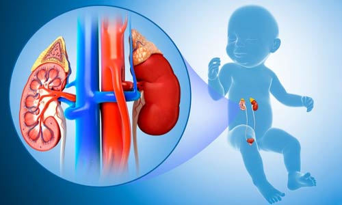 Paediatric Urology in Nagpur