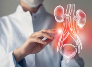 Why Regular Urological Checkups Matter